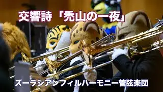 交響詩「禿山の一夜」【ズーラシアンフィルハーモニー管弦楽団】