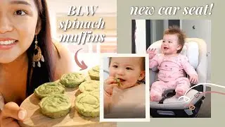 VLOG: Baby-Led Weaning Spinach Muffins + New Maxi-Cosi Magellan Car Seat!