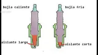 bujias calientes y frias