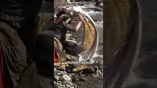 #SHORT