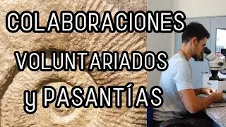 VOLUNTARIADOS Para HACER Durante La CARRERA | TodoSobrePaleo