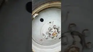 купил трактор мтз