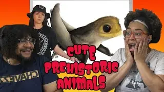 Lindsay Nikole: Cute Prehistoric Animals | REACTION ft. Chavezz