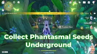 『Genshin Impact』Collect Phantasmal Seeds Underground