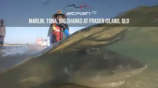 Fishing at Fraser Island on a Jetski for Marlin, Tuna and Sharks!
