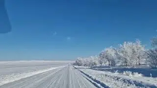 24 января 2024 г.