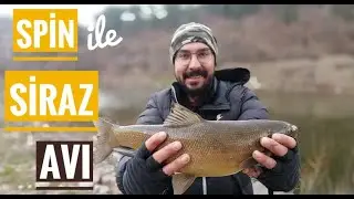 Syracuse Fishing with Lrf Team | (Yellow Fish) | We Are Stuck In The Mud | Kalama Said Cizz
