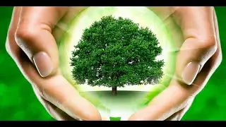 Мы- защитники природы