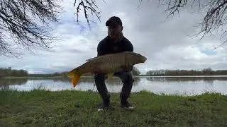 Дикое озеро кишит карпом