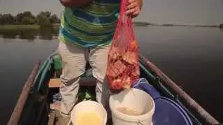 Ловля леща с лодки