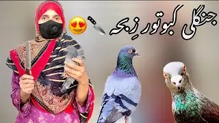 Women slaughter Wild peigon 🔪👍