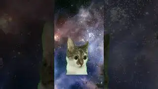 Не подсматривай 