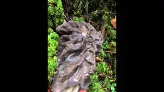 Black Fluted Elfin Saddles