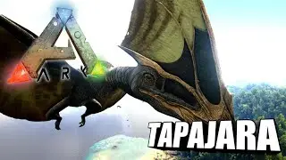 Taming A Tapejara | Ark Survival Evolved | The Island