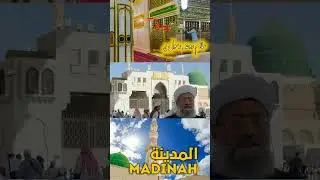 Visit Rowza e Rasool ﷺ Madinah | Ziyarat e Madinah #shorts