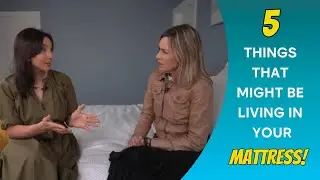 5 Things that might be living in your bed mattress