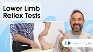 Lower Limb Reflex Tests including Babinski and Clonus | Clinical Physio