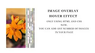 Create an Engaging Image Overlay Effect in Just 4 Minutes using HTML and CSS.