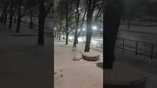 Питер 6.042024