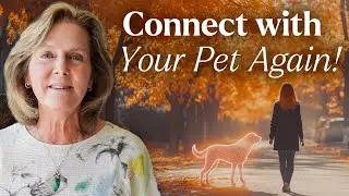 Love Never Dies: How to Form a New Relationship With Your Pet in Spirit
