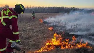 11 grassfires started in or around Dawson Creek in 7-day period