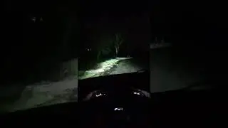 Лада гранта и лазерные птф 3.0