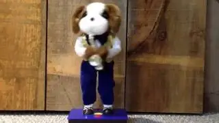 Very Rare animated Jazz dog