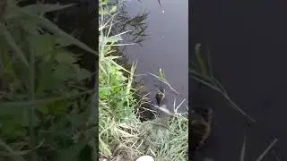 Голые красивые девушки с 5 размером груди