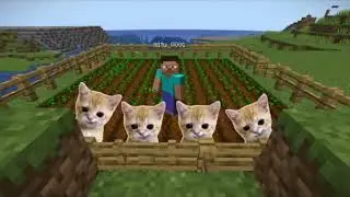 Happy Cat 😹 Tiktok Compilation #3