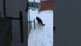Не в наказанье а для пользы дела ! 👍