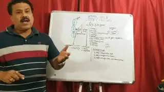 Creating List and Inserting Image     of HTML part 1