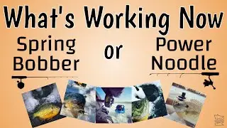 Spring Bobber versus Noodle Rod - What's Working Now