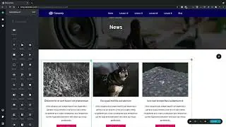 Creating Dynamic Templates   Brizy WordPress 101   Lesson 19