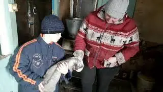Пополнение сарая идет полным ходом.
