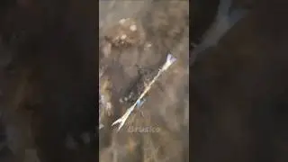 Не на того напал