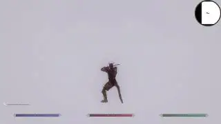 Skyrim Race Animation Overhaul Showcase and Reference Video