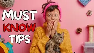 Things I Wish I Knew Before Getting a Cat: Avoiding Common Mistakes