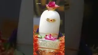 MAHASHIVRATRI SPECIAL 🙏🏻 #mahashivratri #status #viral #mahashivratrispecial #explore