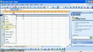 Insert a Row or Column in MS Excel