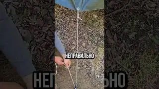 ЛЕГКИЙ УЗЕЛ ДЛЯ ПАЛАТКИ🔥
