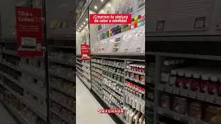 Crea y personaliza tu pintura de color a medida para cualquier superficie  | BAUHAUS