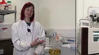 Protein production facility