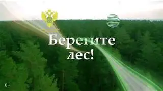 Берегите лес от огня!