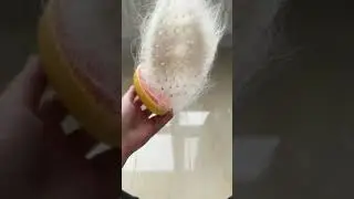У Лелика выросли ушки 😝