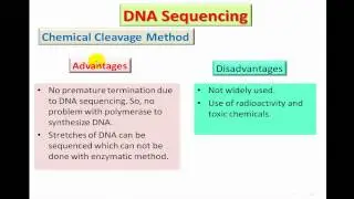 04 Lecture DNA Sequencing Dr Essam H Ibrahim