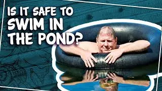 Is It Safe to Swim in The Pond?