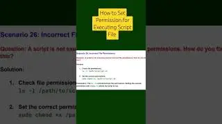 How to Set Permission For Script in Linux 