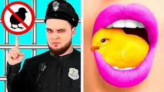 Как Пронести Животных в Тюрьму | Сумасшедший Челлендж от Fun Fun Challenge