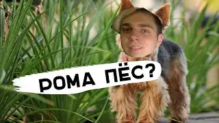 МОКРИВСКИЙ ПЁС? // Мокривский, Гвин, Хантик и др.