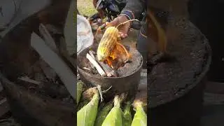 benifits of eating corn #corn